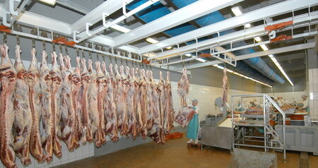 Дезинсекция на мясокомбинате в Краснознаменске, цены на услуги