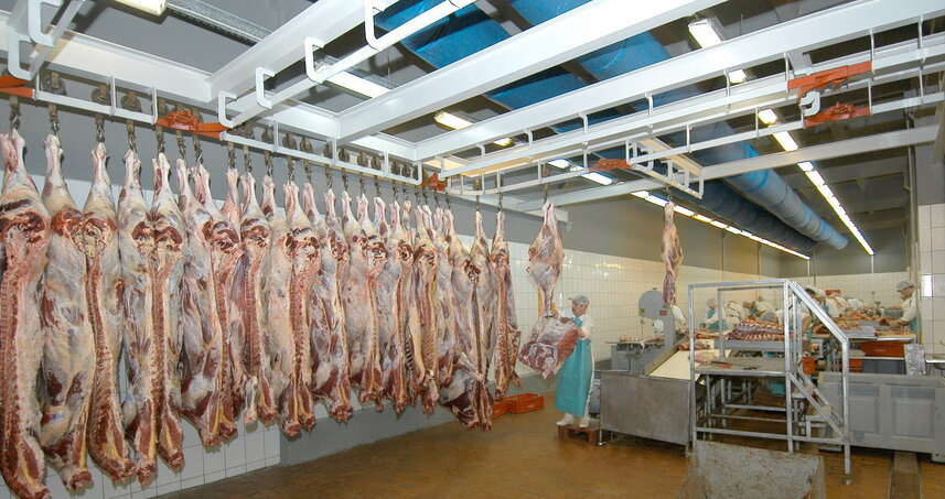 Дезинсекция на мясокомбинате в Краснознаменске, цены на услуги